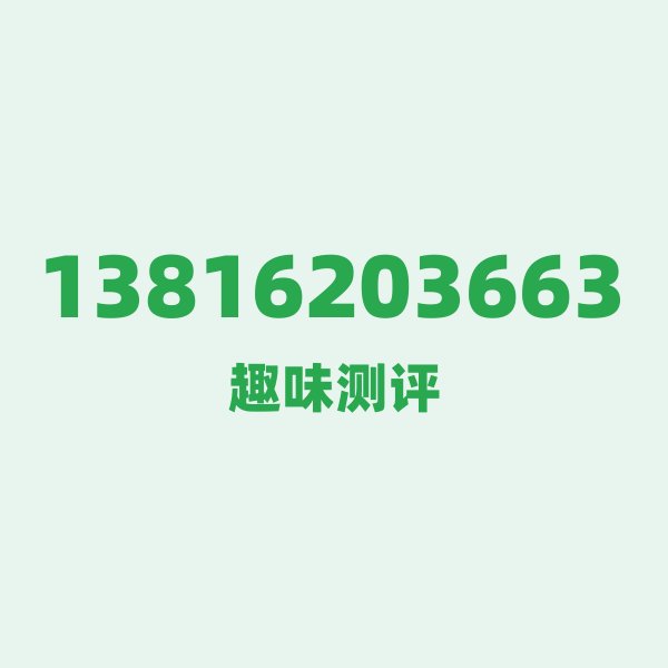 13816203663 城市速写：上海的魔性魅力