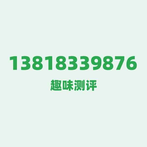 13818339876 魔都上海，速度与腔调并存的数字密码